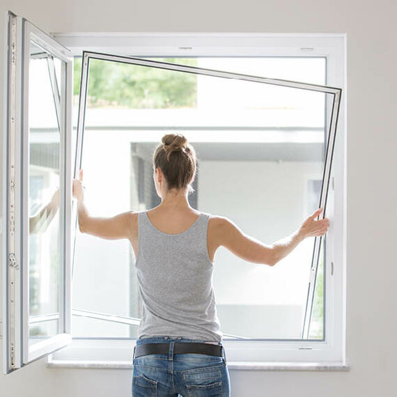 Insect screens for windows