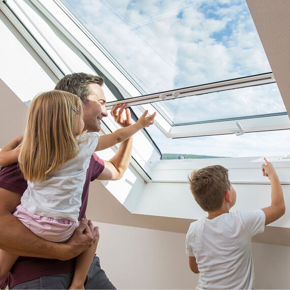 Insekten&shy;schutz für Dach&shy;fenster