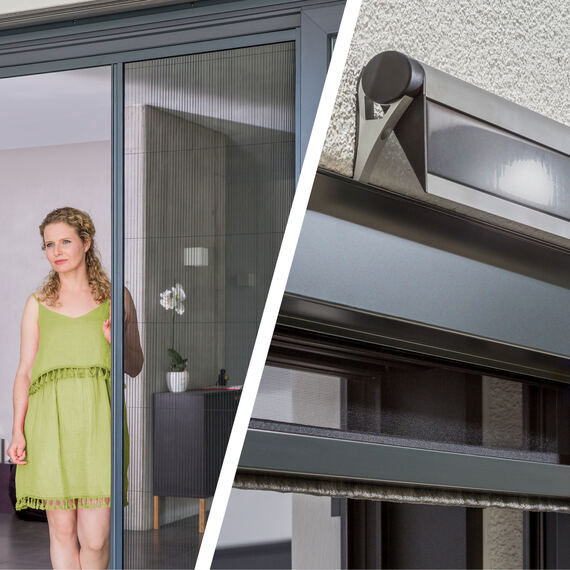 Moustiquaires – développement continu en 2018