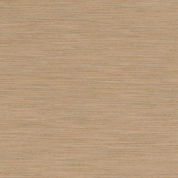 b19c76ef-b945-4448-a242-c30392580e59