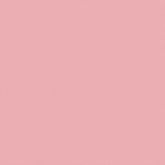 c71f204a-9297-4a81-8f7a-a4b1d0e7c2ab