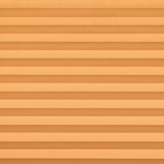 e60065dc-968c-48dc-9498-f9f12d036d4f