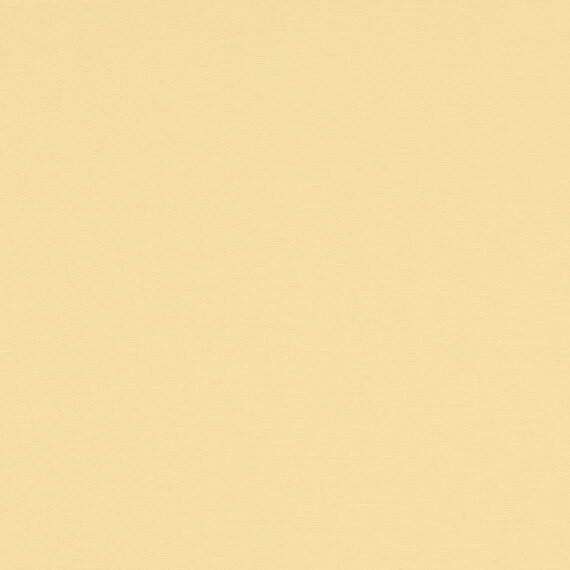 55b56cc5-8e89-4b0b-bbcf-1d2c6f061b0f