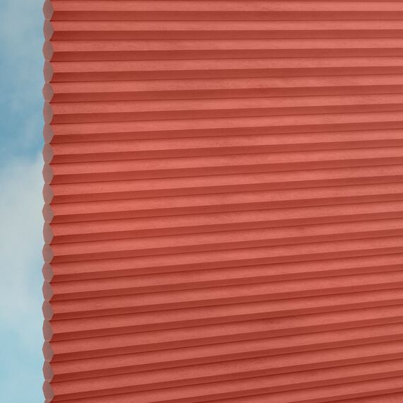 767bed2d-ef61-4f18-98fa-3791f6dfd065