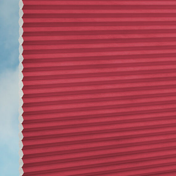 0e484195-5cdb-43d8-862c-e0531603fc42