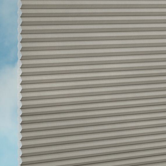 d91a4ee0-c5eb-4fd8-ba6e-eeb06a66ceb9