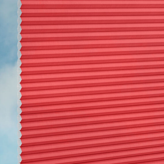 6af55996-4855-49e2-a597-4bf93a48c94c