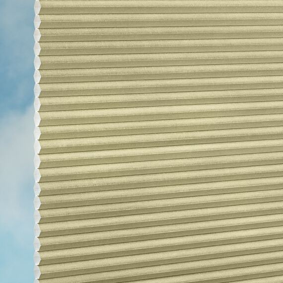 08d8b2d8-3eb4-4ea5-ad1e-cbae414057a4