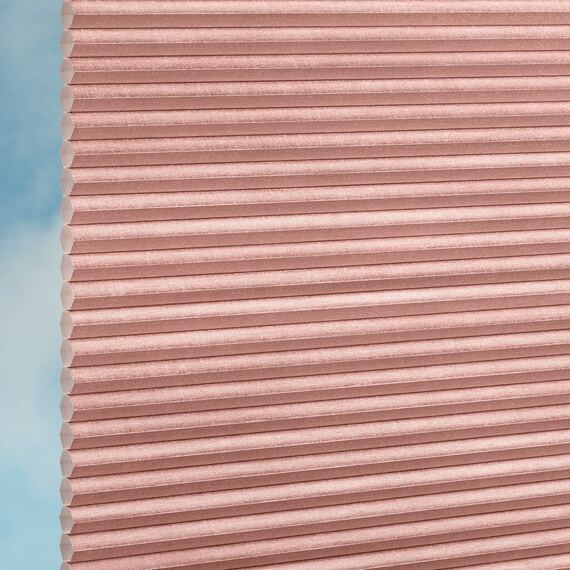 158f7807-d9ea-4cb6-834c-3b58f30d4cf5