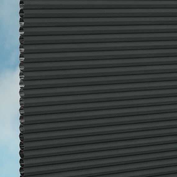 bdc5411c-4c34-475f-b769-99ebe17cd50d