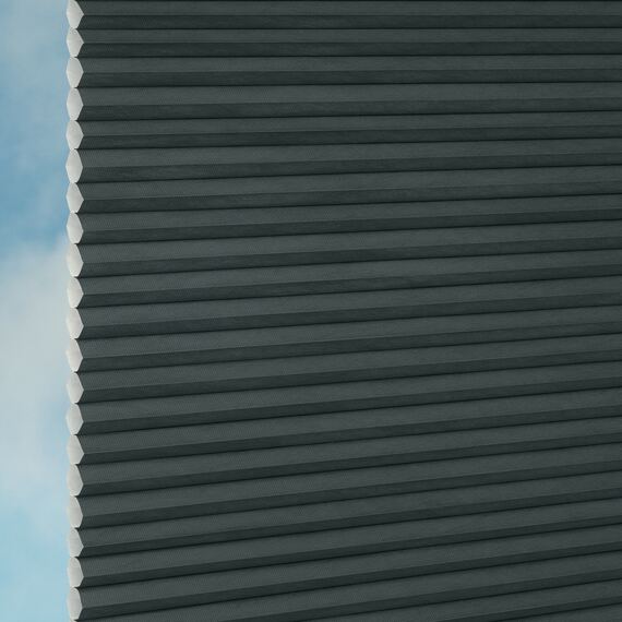 6e831c3f-81cb-447c-9ab7-cec5974b036b