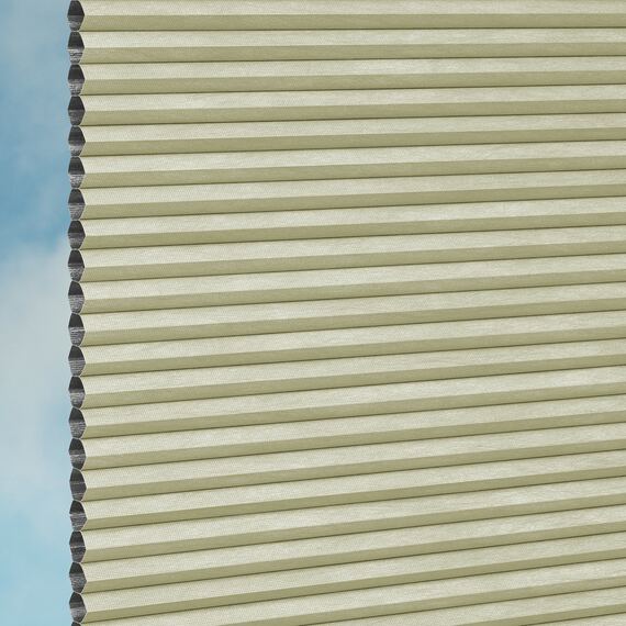 0bf090cd-326f-4bbf-b3c8-e0c0b6608a03