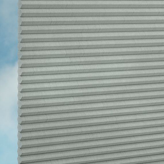 d9037554-7a73-47a9-b274-b010fb774ccf